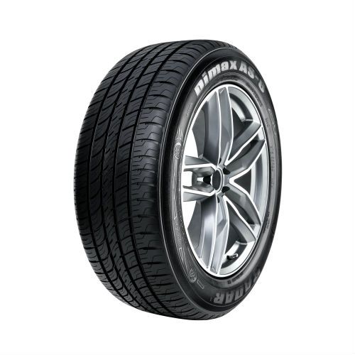 Radar Dimax AS-8  235/35R-19 tire