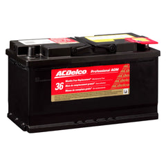 ACDelco® 49AGM - Professional™ AGM BCI Group 49 Battery